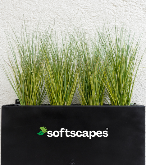 Designer FRP Planters